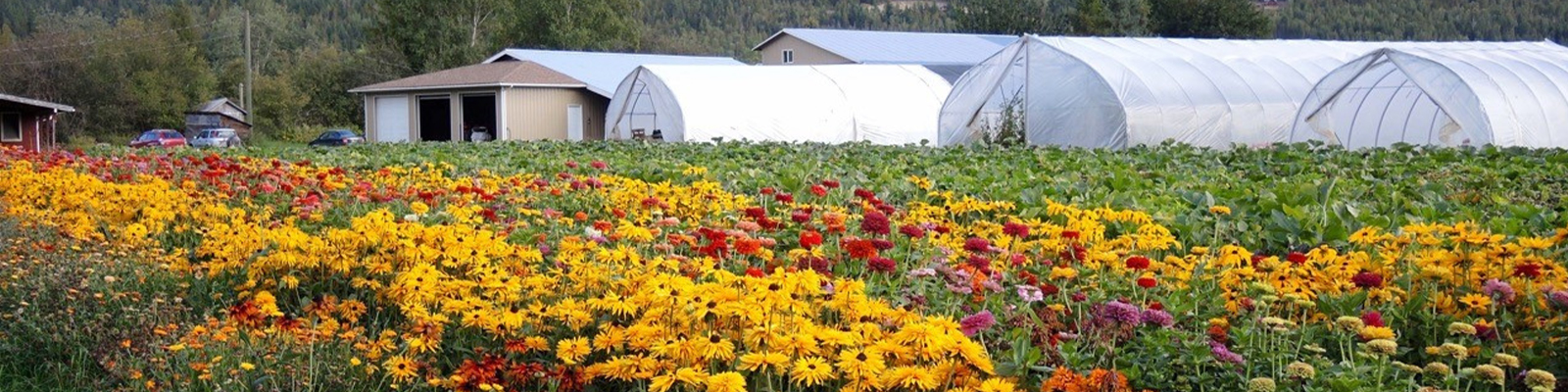 Farm / Business A-Z Listing - Shuswap Food & Farm Directory
